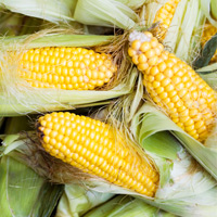 The Complex Simplicity of Corn