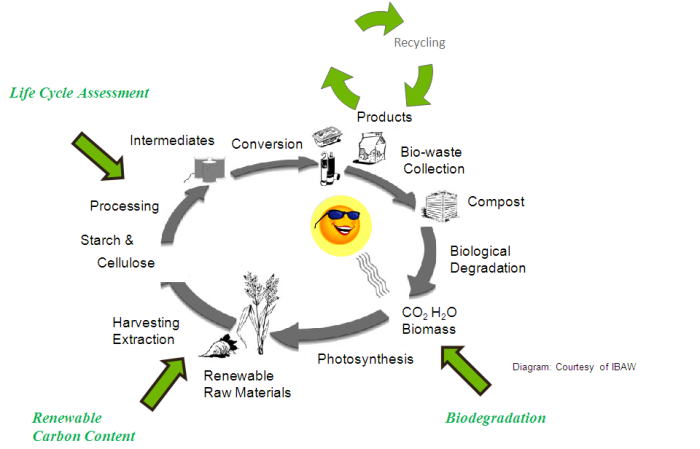 The Biogenic Lifecycle of Plant Based Biopolymers
